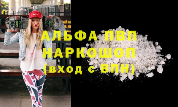 молекула духа Балахна