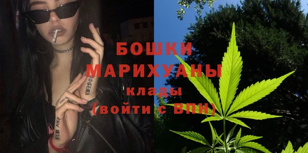 молекула духа Балахна