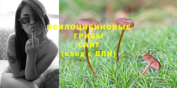 молекула духа Балахна
