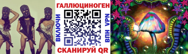 блэк спрут как войти  Славгород  Галлюциногенные грибы прущие грибы  наркота 