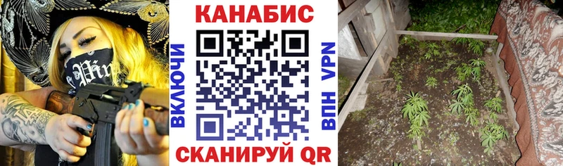 Марихуана семена  МЕГА как войти  Славгород  купить  цена 